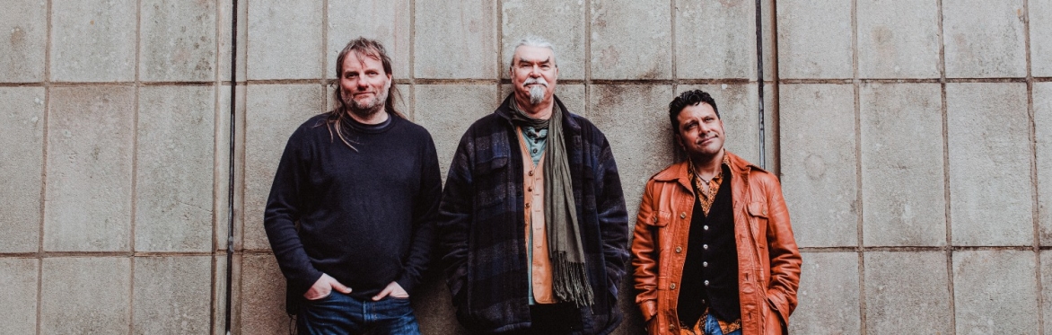 Fleecey Folk: Gigspanner Trio