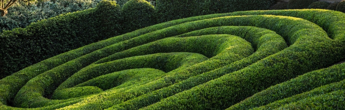 Visite des Jardins | Septembre - Octobre 2026