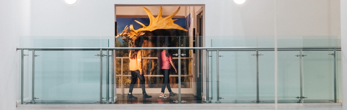 Ulster Museum Easter Tour