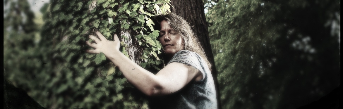 Stori'r Tir Dyffryn Peris - Gweithdy Dweud “Stori'r Tir” / Telling the Earth's Story Workshop