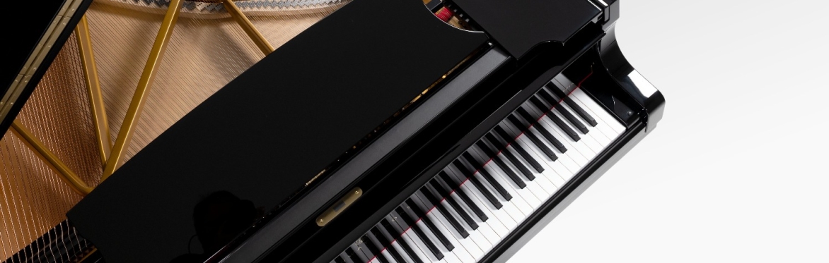 An Evening at Steinway