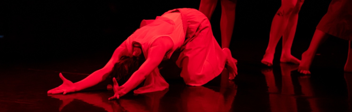 Photo by Elyse Mertz