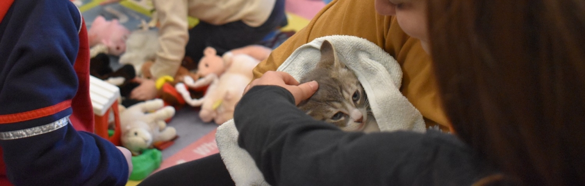 Little Paws Toddler Time