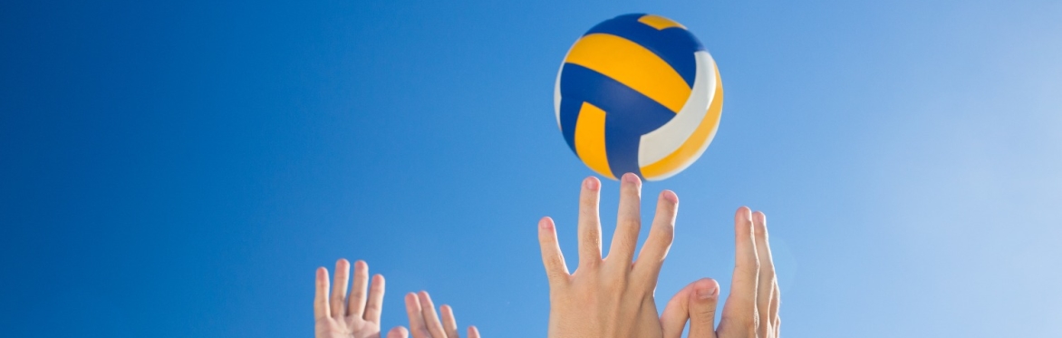 Torneo di pallavolo