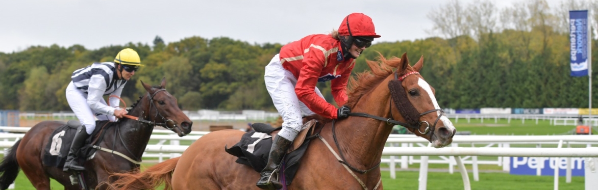 Two horses and their riders, racing to the finish line