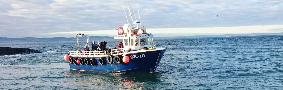 Seahouses and Farne Islands Naturist Boat Trip