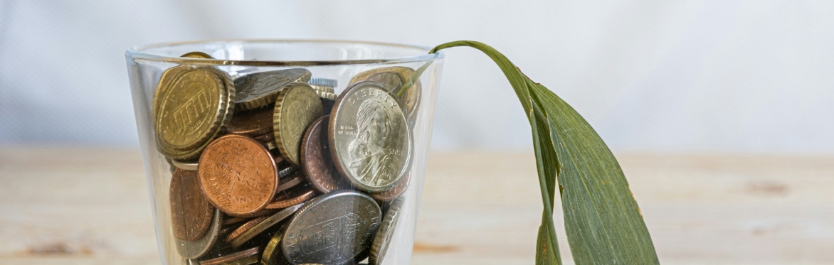 Green returns: investing your pension confidently for the future