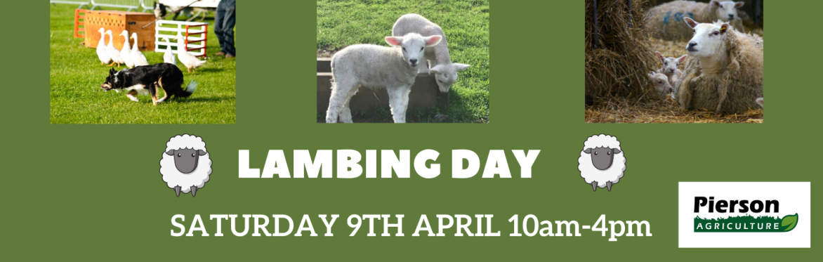 Four Winds Farm  Lambing Day Sat 9th April