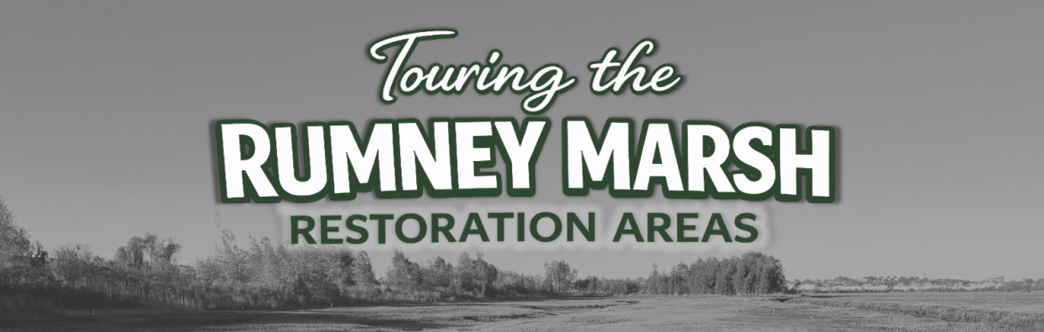 Touring the Rumney Marsh Restoration Areas with Ed Reiner