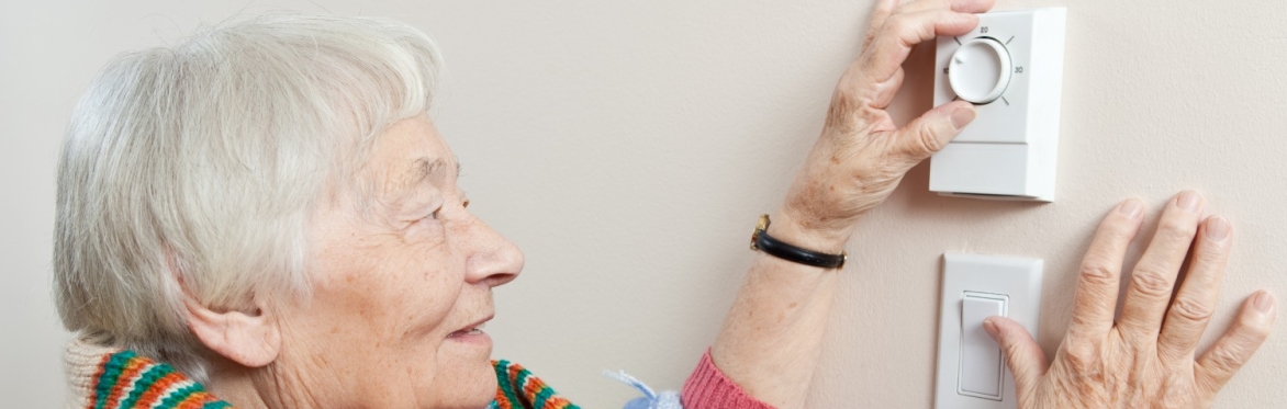 Maldon's Energy Efficient Homes Clinic
