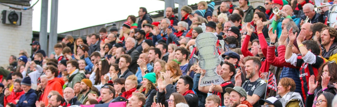 Lewes FC vs Crystal Palace - Adobe Women's FA Cup 3rd round