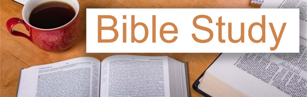Credentialed Leaders Bible Study (April 2026)
