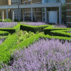 The Second Margaret Thatcher Centre Annual Academic Symposium