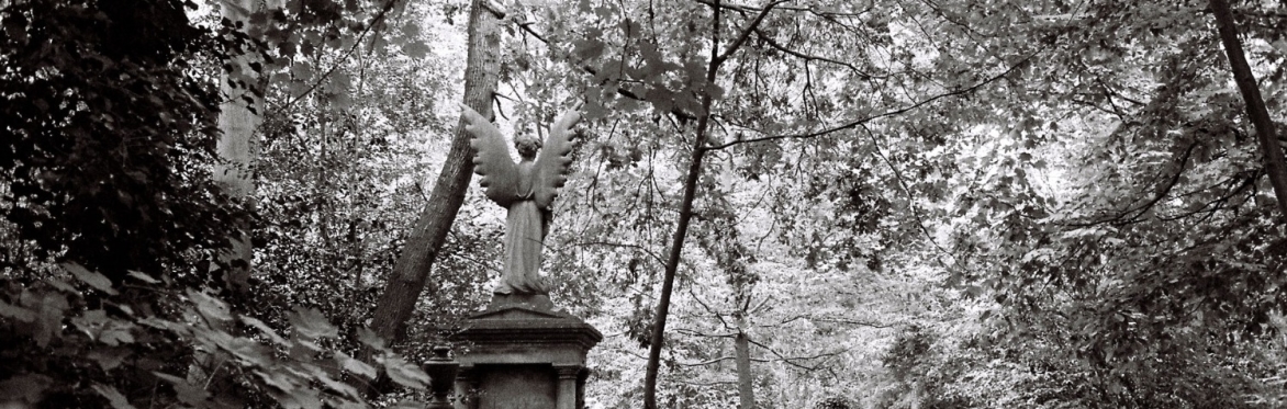 Buried Garden: A Walking Tour with Chris McCabe and Iain Sinclair