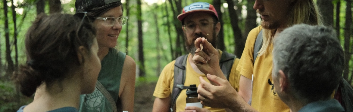 Forest Feast: Fall Series {6 classes} // Festin de la Forêt: série d'automne {6 cours}