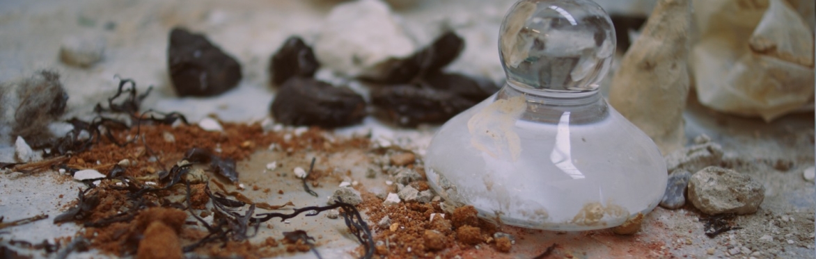 Ink-Making & Mark-Making: The Magic of Black Beans