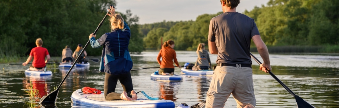 Beaver Safari at Sunset