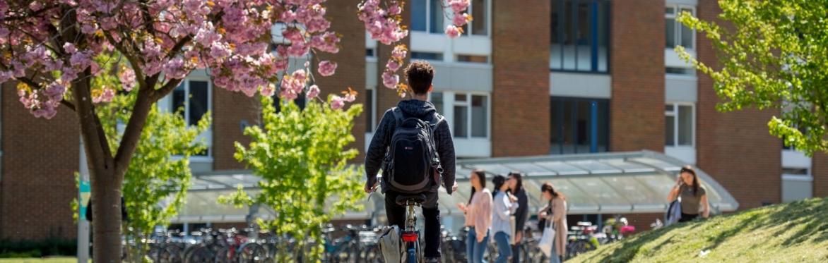 Beginner Bike Ride from Brighton to campus