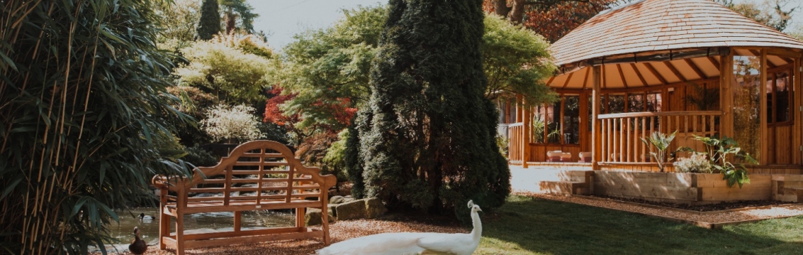 Bloom — A Day Retreat with Yoga with Bijal