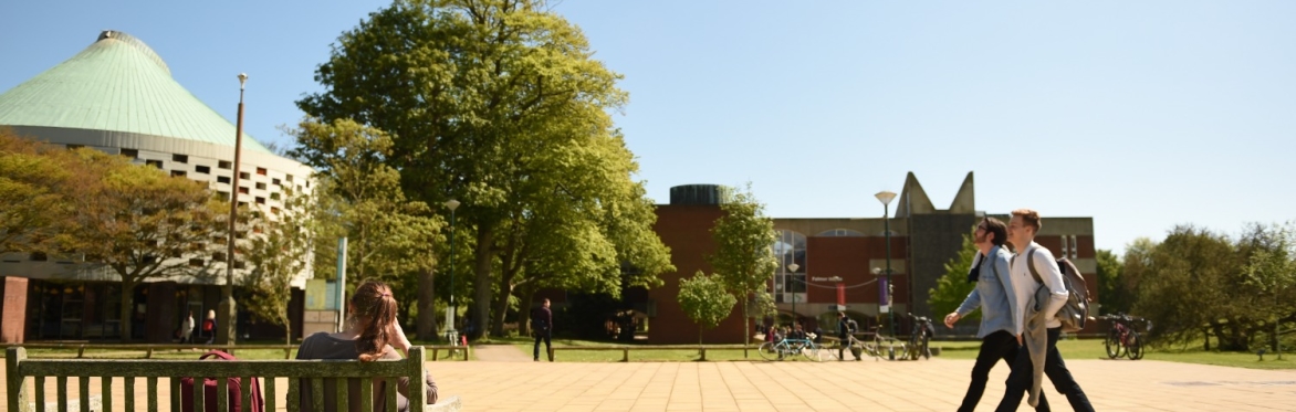 Exploring Sustainability: what issues matter to the lives of children and young people?