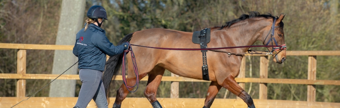Stage 4 Care, Lunge &  Dressage Ride