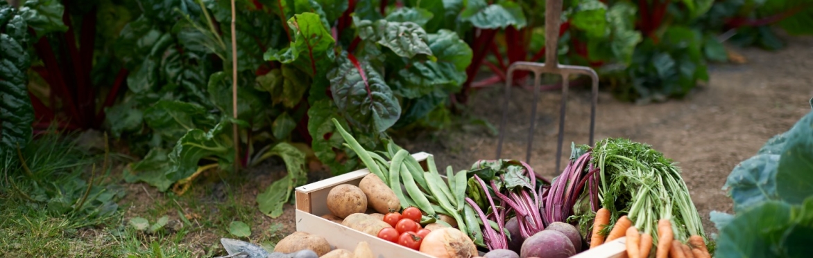 The climate kitchen: Future food with a Michelin star Mark Poynton
