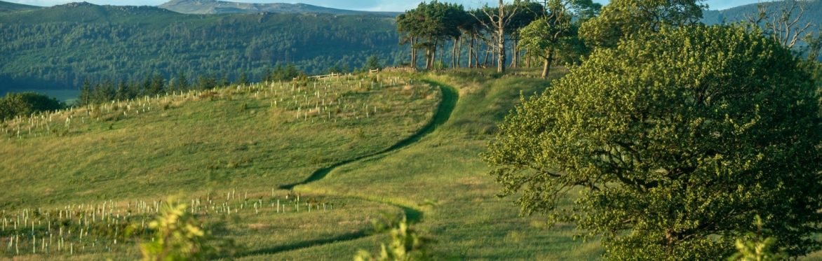 Nature recovery tour with River Six - FREE community event