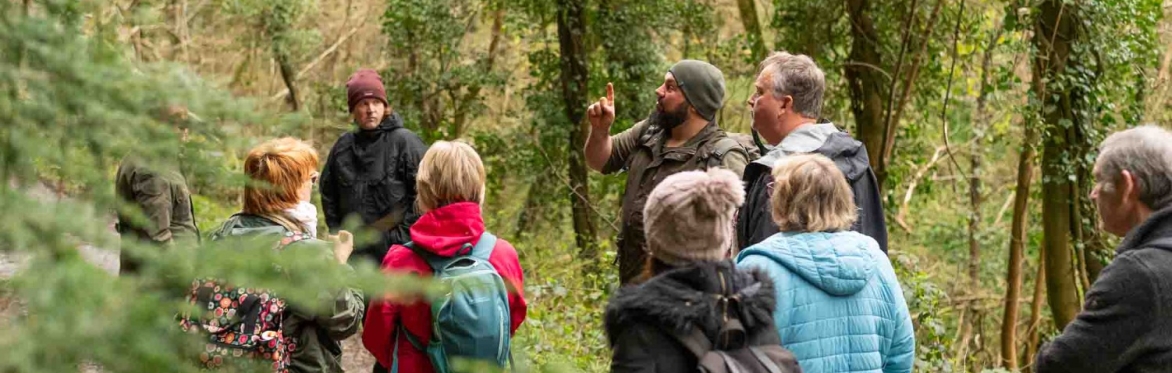 Foraging and Wild Food Course