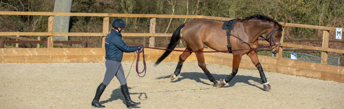 BHS Stage 3 Lunge Theory