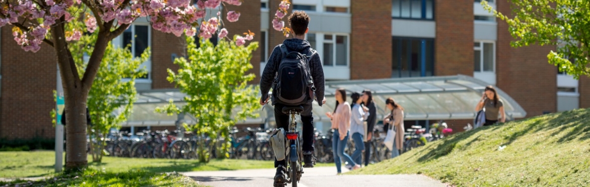A cyclist on campus, cycling past a blossom tree and green grass.