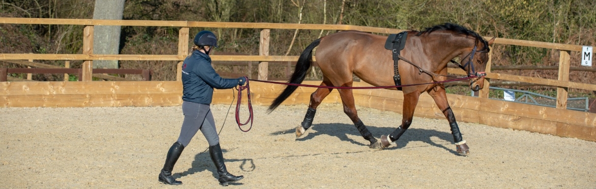 BHS Stage 2 Lunge Theory