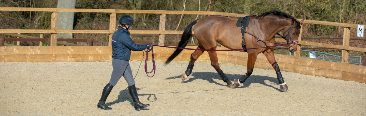 BHS Stage 4 Lunge Theory