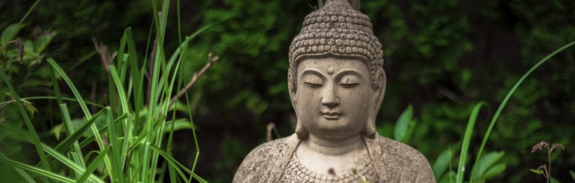 Introduction to Buddhism and Meditation