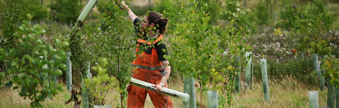 Rewild the land: volunteering sessions with Joel Batchelor - free community event