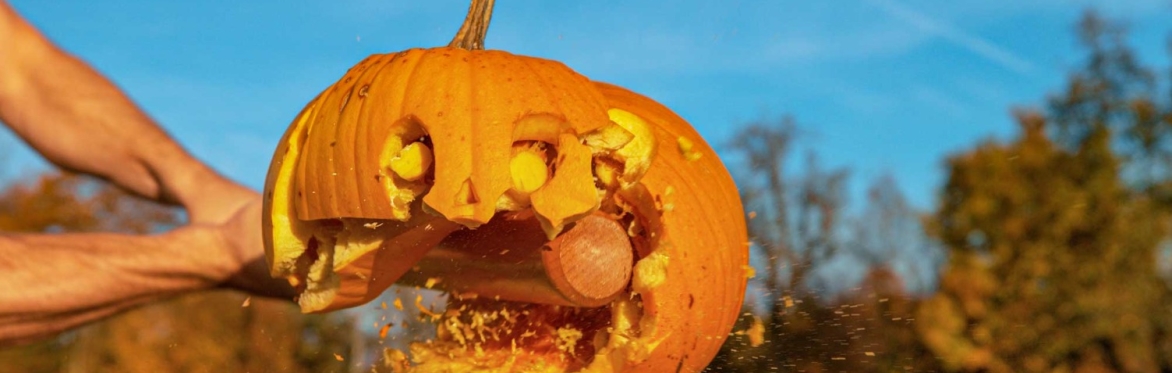 Bertie's Farm Pumpkin Smash