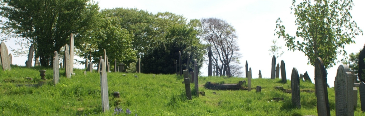 Nature events at Ford Park Cemetery - Wildlife walks, Tree ID, bat walks