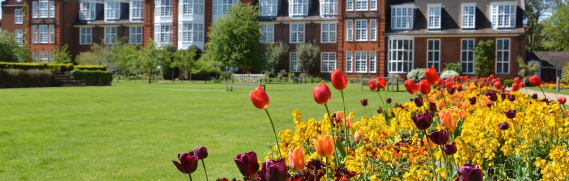 Facilitation as Performance, Cambridge