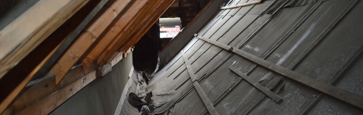 Van Ostrande-Radliff House Special Roof Tours