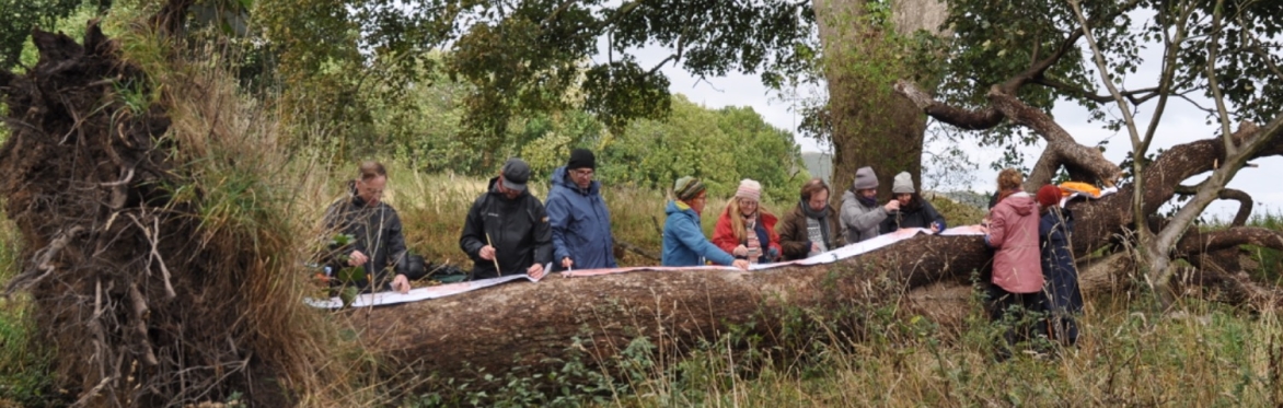 5 Walks, 5 Trees, 5 Poems Publication Launch