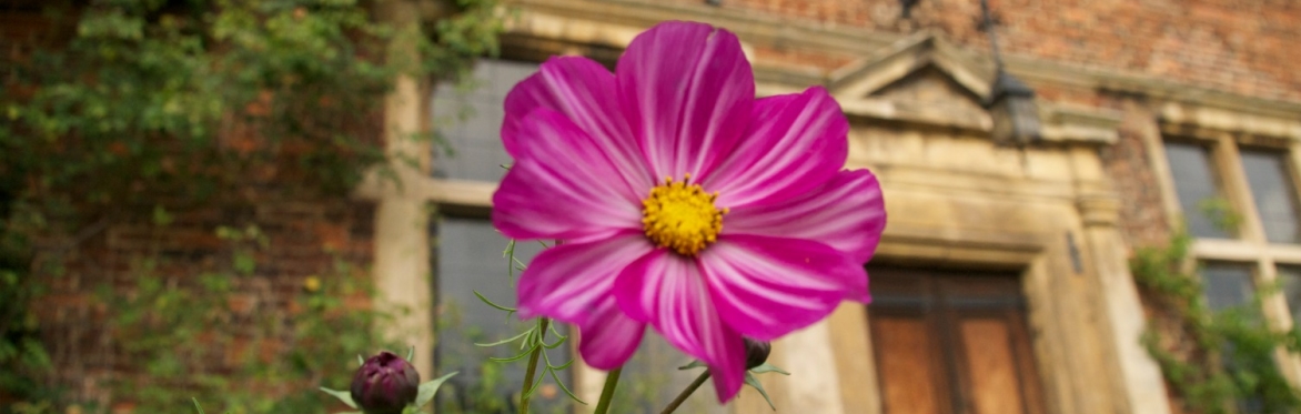 Aubourn Hall Open Garden - In Support Of The National Garden Scheme