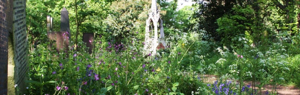 Cemetery Park Online - Discover Our Nature & Heritage