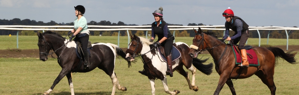 The Bedmax Newmarket Heath Ride