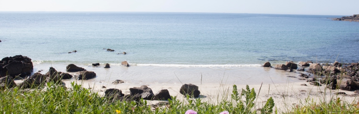 Sea Swim Cornwall Swim Membership 2022