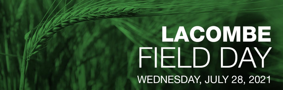 Lacombe Field Day
