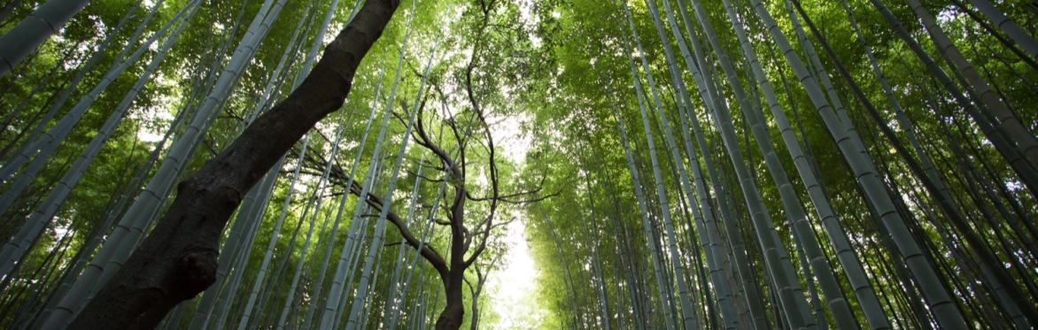 From social change strategies to inner journeys:  A free online space to explore and share