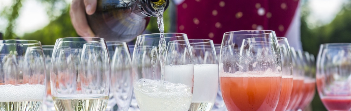 The Tachbrook Summer Garden Party: Farewell Tachbrook Ward, Welcome to Pimlico South!