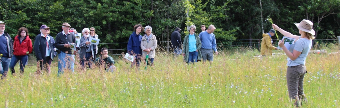 Farming For Nature Walk with Ailbhe Gerrard - August (Co.Tipperary)