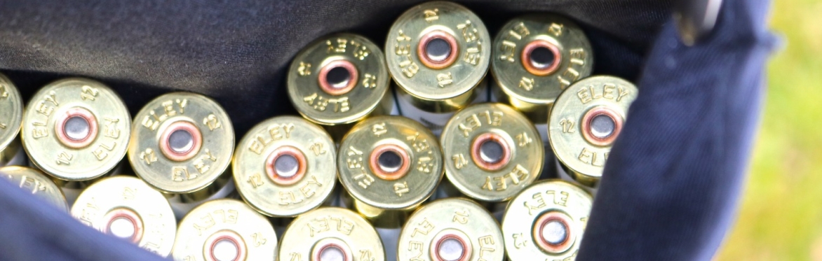 Clay Pigeon Shoot