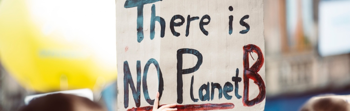So, you've declared a climate emergency...