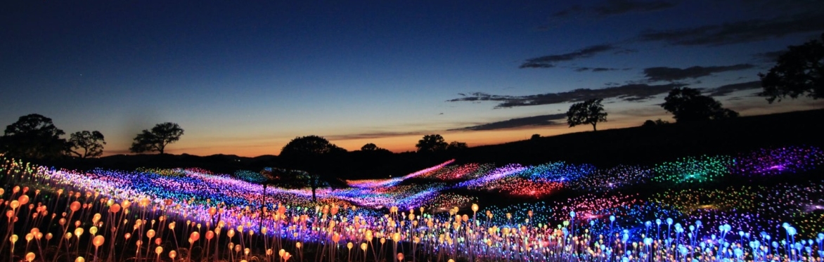 Field of Lights Dinner @ Sensorio